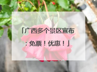 广西多个景区宣布：免票！优惠！