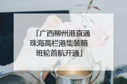 广西柳州港直通珠海高栏港集装箱班轮首航开通