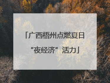 广西梧州点燃夏日“夜经济”活力