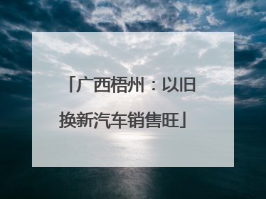 广西梧州：以旧换新汽车销售旺