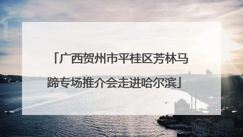 广西贺州市平桂区芳林马蹄专场推介会走进哈尔滨
