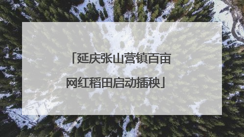 延庆张山营镇百亩网红稻田启动插秧