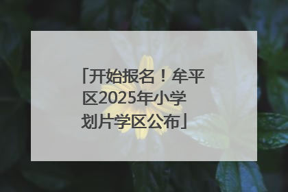 开始报名！牟平区2025年小学划片学区公布
