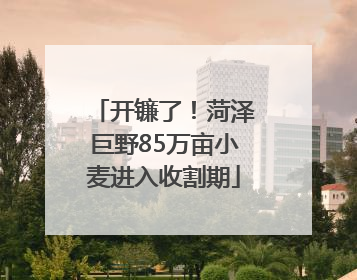 开镰了！菏泽巨野85万亩小麦进入收割期