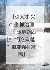 引人才 兴产业 抓治理——玉屏新店镇“红色动能”赋能强村富民