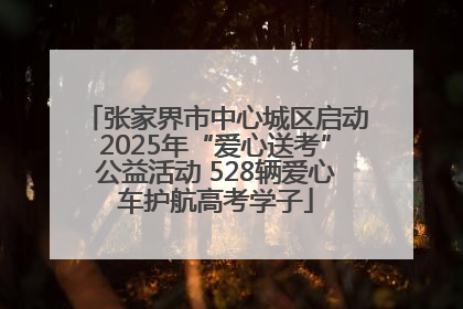 张家界市中心城区启动2025年“爱心送考”公益活动 528辆爱心车护航高考学子