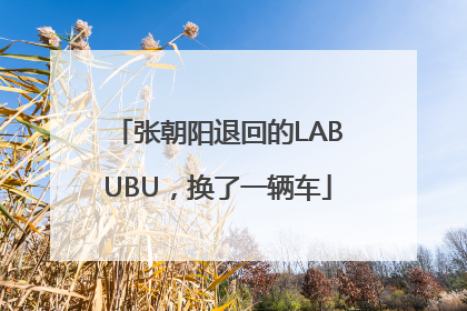 张朝阳退回的LABUBU，换了一辆车