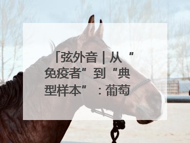 弦外音｜从“免疫者”到“典型样本”：葡萄牙极右翼崛起背后的欧洲困局