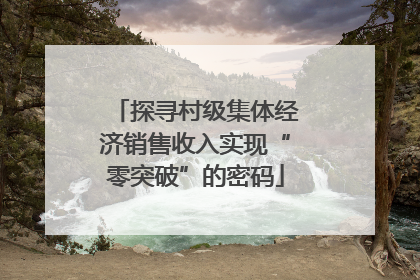 探寻村级集体经济销售收入实现“零突破”的密码
