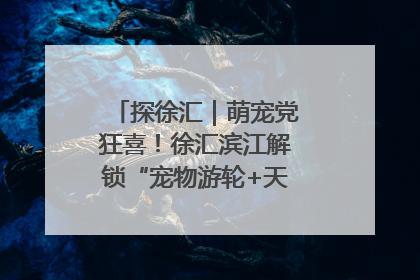 探徐汇｜萌宠党狂喜！徐汇滨江解锁“宠物游轮+天台乐园”双玩法