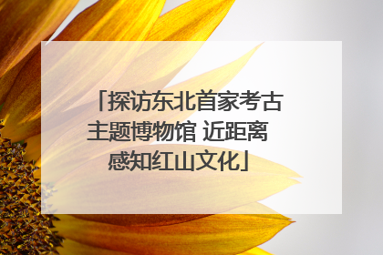 探访东北首家考古主题博物馆 近距离感知红山文化