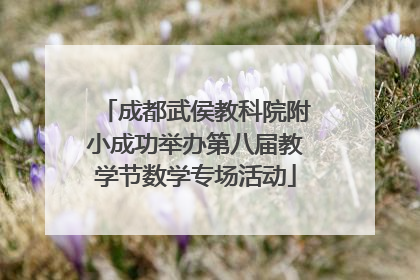 成都武侯教科院附小成功举办第八届教学节数学专场活动