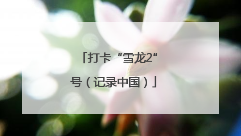 打卡“雪龙2”号（记录中国）