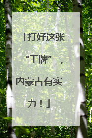 打好这张“王牌”，内蒙古有实力！