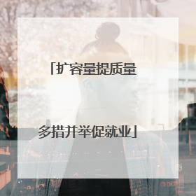 扩容量提质量 多措并举促就业