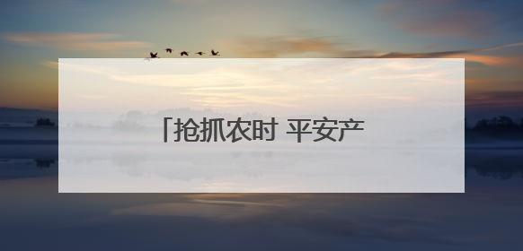 抢抓农时 平安产险河南分公司“抗旱抢收”保夏粮归仓