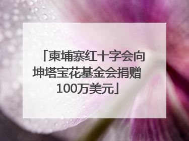 柬埔寨红十字会向坤塔宝花基金会捐赠100万美元
