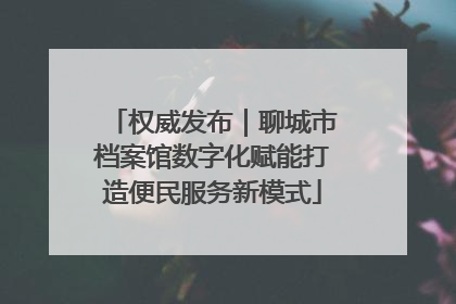 权威发布｜聊城市档案馆数字化赋能打造便民服务新模式