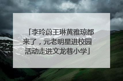 李玲蔚王琳黄雅琼都来了，元老明星进校园活动走进文龙巷小学