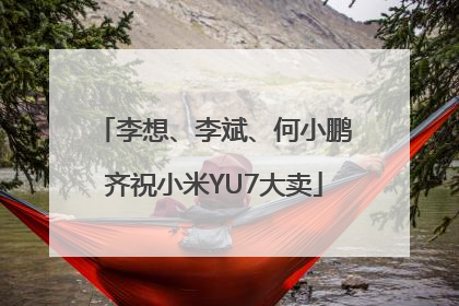 李想、李斌、何小鹏齐祝小米YU7大卖