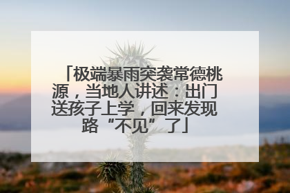 极端暴雨突袭常德桃源，当地人讲述：出门送孩子上学，回来发现路“不见”了