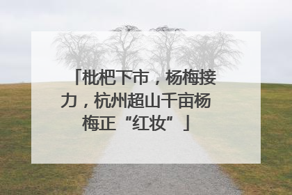 枇杷下市，杨梅接力，杭州超山千亩杨梅正“红妆”