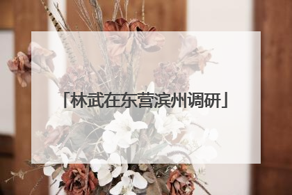 林武在东营滨州调研