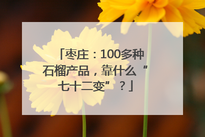 枣庄：100多种石榴产品，靠什么“七十二变”？