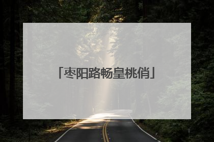 枣阳路畅皇桃俏