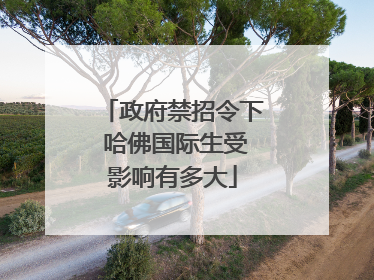 政府禁招令下 哈佛国际生受影响有多大