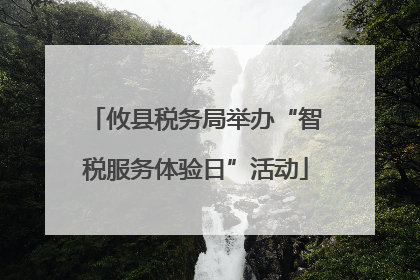 攸县税务局举办“智税服务体验日”活动
