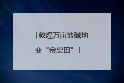 敦煌万亩盐碱地变“希望田”