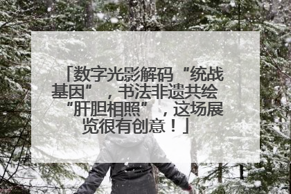 数字光影解码“统战基因”，书法非遗共绘“肝胆相照”，这场展览很有创意！