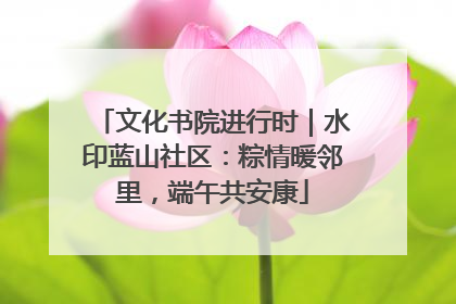 文化书院进行时｜水印蓝山社区：粽情暖邻里，端午共安康