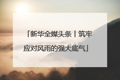新华全媒头条丨筑牢应对风雨的强大底气