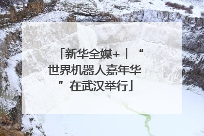 新华全媒+丨“世界机器人嘉年华”在武汉举行