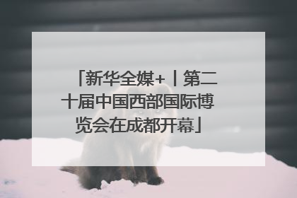 新华全媒+丨第二十届中国西部国际博览会在成都开幕