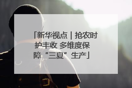 新华视点｜抢农时 护丰收 多维度保障“三夏”生产
