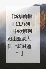新华鲜报丨11万列！中欧班列跑出亚欧大陆“新时速”