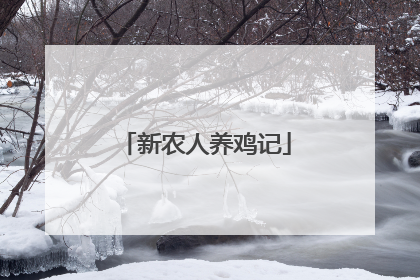 新农人养鸡记