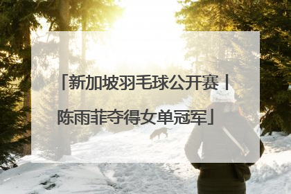 新加坡羽毛球公开赛丨陈雨菲夺得女单冠军