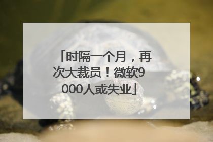 时隔一个月，再次大裁员！微软9000人或失业