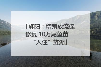 旌阳：增殖放流促修复 10万尾鱼苗“入住”旌湖