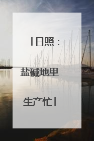日照：盐碱地里生产忙
