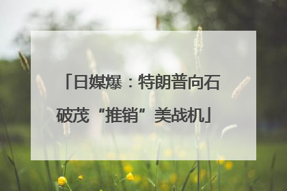 日媒爆：特朗普向石破茂“推销”美战机