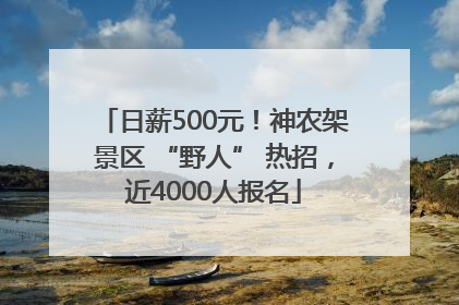 日薪500元！神农架景区 “野人” 热招，近4000人报名