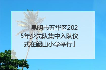 昆明市五华区2025年少先队集中入队仪式在韶山小学举行