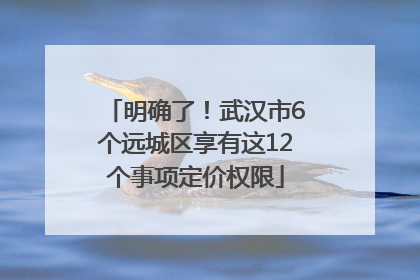 明确了！武汉市6个远城区享有这12个事项定价权限