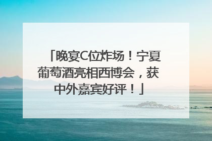 晚宴C位炸场！宁夏葡萄酒亮相西博会，获中外嘉宾好评！