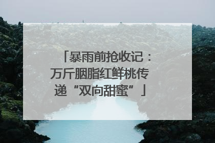 暴雨前抢收记：万斤胭脂红鲜桃传递“双向甜蜜”